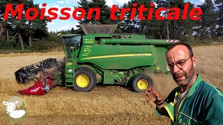 Moisson à la ferme le verdict cest une verte N°232 [upl. by Rivi]