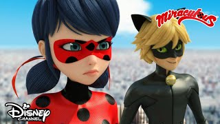 😎 Istnieją dwie Biedronki  Miraculous Biedronka i Czarny Kot  Disney Channel Polska [upl. by Odlanra]