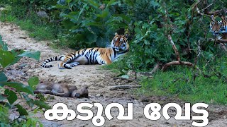 കാട്ടിലെ ക്രൂരത Bandipur JLR 6hour safari Tiger kill [upl. by Weixel]