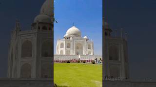 Taj Mahal 😍❤️ tajmahal agar shorts [upl. by Aehtorod126]