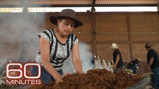 Mezcal producers preserve traditional methods as demand for liquor grows  60 Minutes [upl. by Yztim323]