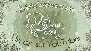 • SPÉCIAL • Rétrospective anniversaire  Un an sur YouTube [upl. by Ititrefen]