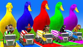 5 Giant Duck CartoonCowMammothTigerLionDinosaurPaint Wild Animals Crossing Fountain Animation [upl. by Solohcin]