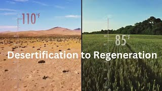 What Causes Desertification and How Can We Restore Land from ‘Kiss the Ground’ documentary [upl. by Nairret426]