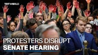 Antiwar protesters disrupt US Senate hearing [upl. by Shannen]