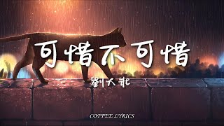 【无损音质】刘大壮  可惜不可惜吉他版  可惜不可惜那时我和你 可惜不可惜忘了爱自己  动态歌词  高音质 ♪ [upl. by Clapp49]