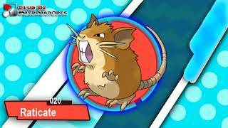 020 RATICATE POKEDEX [upl. by Norda]