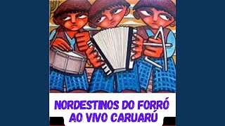 Cair na brincadeira  NORDESTINOS DO FORRÓ [upl. by Yuh233]