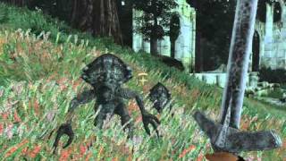 Lets Play Oblivion part 40 [upl. by Anialed346]