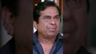 Brahmanandam Hilarious Comedy  RamaRamaKrishnaKrishna  shorts  youtubeshorts  SriBalajiVideo [upl. by Ayek]