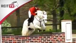 Springreiten lernen So gelingt das Training mit der Mauer [upl. by Elwira890]