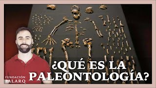 ¿Qué es la Paleontología ¿Qué hace una Paleontólogo ¿Cuántas subdisciplinas existen [upl. by Ical]