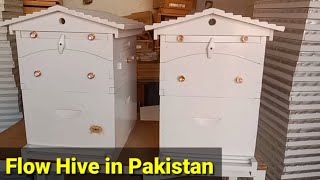 Flow Hive in Pakistan  Flow Hive  Bee Hive [upl. by Shermie]