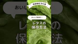 【旬のとぴあ産インスタお手軽クッキング】レタスの保存方法 [upl. by Dickens]