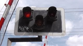 Level Crossing at Sandymount  Dart Train number 8135 [upl. by Yssak]