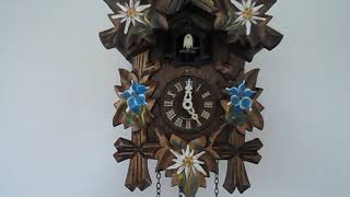 German Quartz Cuckoo Clock [upl. by Kironde]