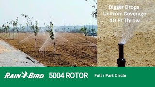 Rainbird 5000  5004 Rotors System  Sprinkler Irrigation System rainbird sprinklerirrigation [upl. by Samtsirhc66]