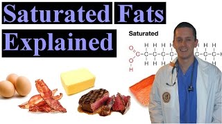 Saturated Fat Explained Made Easy to Understand [upl. by Neils497]