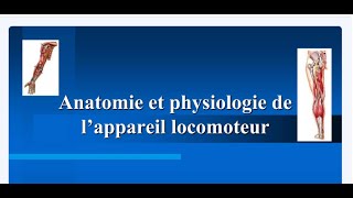 Anatomie et Physiologie de lappareil Locomoteur [upl. by Laicram]