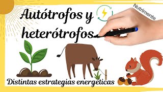 HETERÓTROFOS y AUTÓTROFOS Distintas estrategias energéticas [upl. by Ailaroc977]