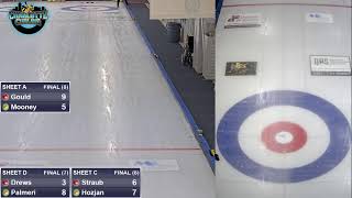 USA Curling Mens Club Playdown  Draw 4  Sat 7 pm [upl. by Ennaear]