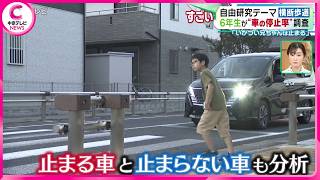 【自由研究テーマは車の停止率】 小学6年生が自由研究で“車の停止率”調査 調査した車の反則金の合計は…？ [upl. by Risan]