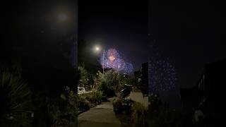 Watching the fireworks from the front garden fireworks southport shorts [upl. by Yllatan]