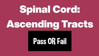 Ascending tracts of Spinal cordEasy mnemonicMemorise within seconds👍🏻 [upl. by Odnamra]