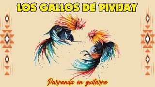 Los GALLOS de PIVIJAY Los provincianos [upl. by Ennovihs]