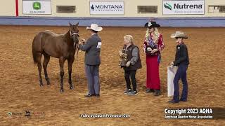 2023 AQHA World Championship Show Open Weanling Colts [upl. by Zingg]