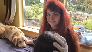 ASMR  Cozy Scalp Attention  Inaudible and Soft Whispering Gloves Tweezers Combing Scratching [upl. by Krystal]