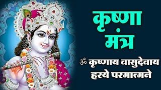 Krishna Mantra  Om Krishnaya Vasudevaya Haraye Paramatmane 108 Times  Bhakti Song  Krishna Bhajan [upl. by Arni388]