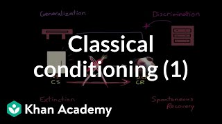 Classical conditioning Extinction spontaneous recovery generalization discrimination [upl. by Aikkin]