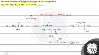 The total number of negative charges in the tetrapeptide GlyGluAspTyr at pH 125 will be [upl. by Uzia538]