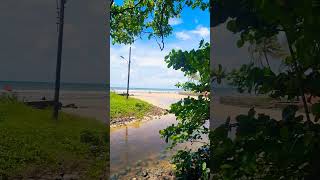 This View Is Amazing 🤩 Colva Sea Beach South Goa 🏖 Places To Visit In Goa  Goa Beautiful Places [upl. by Ennairoc]