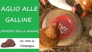 Aglio alle galline I rimedi della nonna [upl. by Masao709]