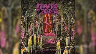 Carnal Tomb  quotEmbalmed in Decayquot Full album [upl. by Inman]