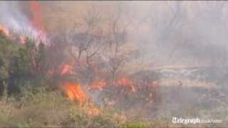 Canary Island holidays safe from wildfires [upl. by Ammann]