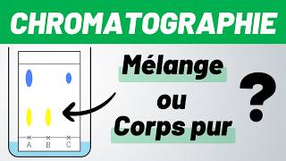 CHROMATOGRAPHIE sur couche mince ✅ MÉTHODE 💪 Seconde [upl. by Lemra]