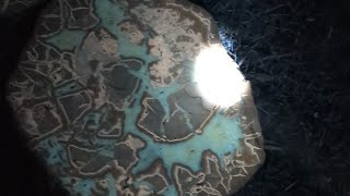 Utah Septarian Nodule cut reveal and UV [upl. by Edlin]