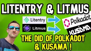 Litentry amp Litmus Explained  The DID of Polkadot amp Kusama [upl. by Bela]