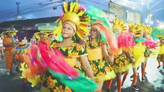 BOI MIMOSO DESFILE OFICIAL 2024 BOIS DE CARNAVAL G1 [upl. by Yroger849]