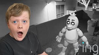 We caught Chica on our Security Camera Fazbear Nights is the Scariest FNAF EVER [upl. by Anivlis]