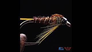 Olive Pheasant Tail Diawl Bach fly pattern  Show case fly tying short flyfishing flytying [upl. by Formica]