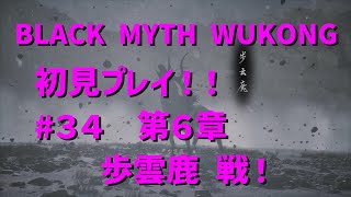 【黒伝説・悟空】初見プレイ！♯３４ 第６章 歩雲鹿戦！ [upl. by Latreece93]