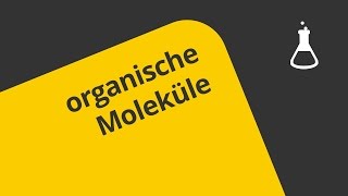 Organische Moleküle darstellen  Chemie  Organische Chemie [upl. by Angi]