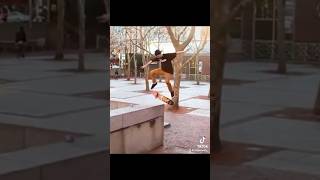 Ryan Chaney from “Wasted Youth” shorts skateboarding skate [upl. by Eliathan734]