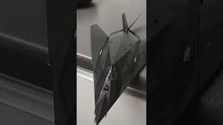 Security F117A Nighthawk [upl. by Wrench]