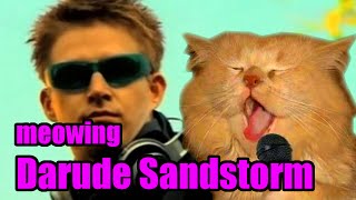 Squeal Cat meowing Darude Catstorm Sandstorm Song Name [upl. by Pack849]