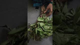 Ruchikaramina Gongura Pappu Recipe cooking [upl. by Gupta747]